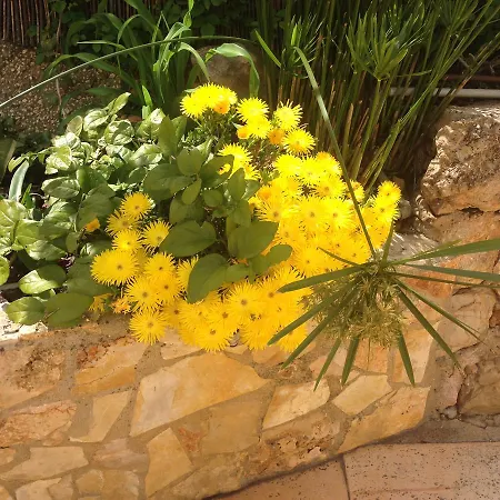 Villa Casa Paula - Private Heatable Pool For Each House