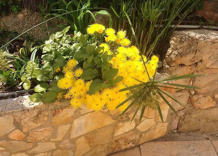 ヴィラ Casa Paula - Private Heatable Pool For Each House