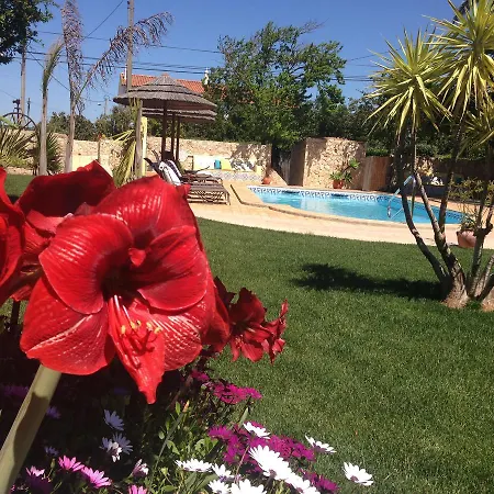 Casa Paula - Private Heatable Pool For Each House וילה